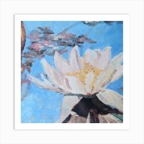 Water Lily Art Print