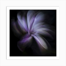 Magnolia 4 Art Print