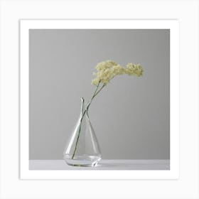 Flower In A Vase Art Print