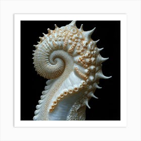 Nautilus Shell Art Print