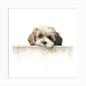 Shih Tzu 7 Art Print