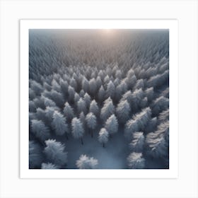 Aerial View Of Snowy Forest 13 Art Print