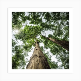 Eucalyptus Tree Art Print