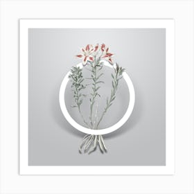 Vintage Lily of the Incas Minimalist Floral Geometric Circle on Soft Gray n.0166 Art Print