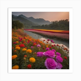 Korean Flower Field Art Print