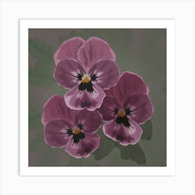 Three Lilac Viola Flowers With Green Leaves On A Dark Green Background 1 Art Print