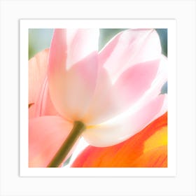 Tulips Art Print