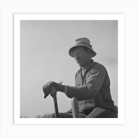 Merced County, California, Farmer Operating Peanut Planter, He Is First Man In California To Plant Peanuts, Which Ar Art Print