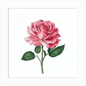 Pink Rose 8 Art Print