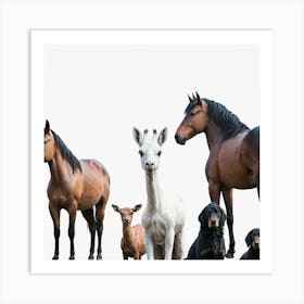 Group Of Horses, Transparent Png Download Art Print