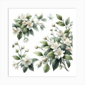 Flowers of Jasmine Art Print