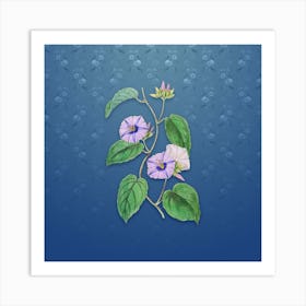 Vintage Hoary Jacquemontia Flower Botanical on Bahama Blue Pattern n.0573 Art Print
