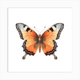 Butterfly 2 Art Print