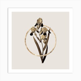 Gold Ring Elder Scented Iris Glitter Botanical Illustration n.0085 Art Print