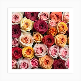 Colorful Roses 31 Art Print