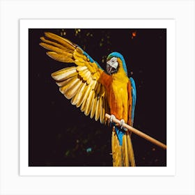 Parrot Art Print