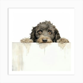 Spanish Water Dog 3 Art Print