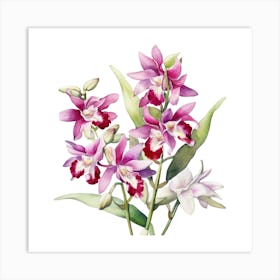 Spring Awakening Blooming Beautiful Orchids Art Print