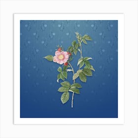 Vintage Big Flowered Dog Rose Botanical on Bahama Blue Pattern n.1042 Art Print