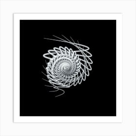 Spiral Spiral Art Print