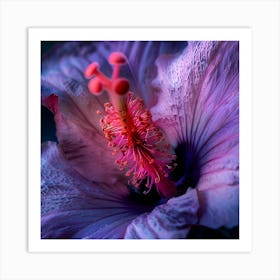 Purple Hibiscus Flower Art Print