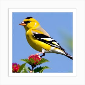 Goldfinch 2 Art Print