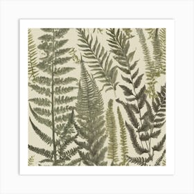 Ferns 1 Art Print