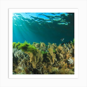 Under The Sea 1 Art Print