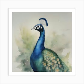 Watercolour Peacock Art Print