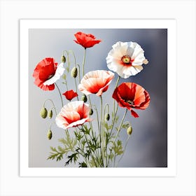 Red and white poppies Art Print