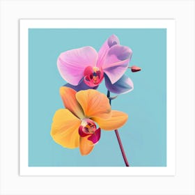 Orchids 12 Art Print