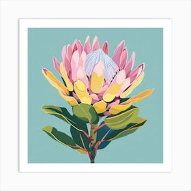 Protea 2 Square Flower Illustration Art Print