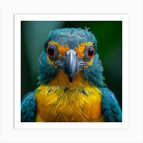 Parrot, Parrots, Parrots 1 Art Print