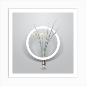 Vintage Daffodil Minimalist Floral Geometric Circle on Soft Gray n.0361 Art Print