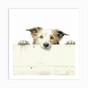 Border Collie 9 Art Print