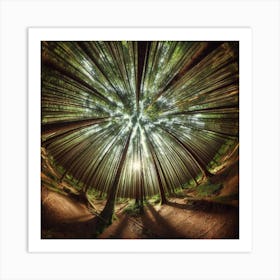 Circle Of Trees 2 Art Print