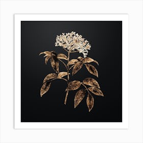 Gold Botanical Elderberry Flowering Plant on Wrought Iron Black n.3067 Art Print