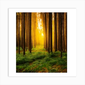 Sunrise In The Forest 2 Art Print