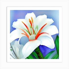 White Lilly Art Print