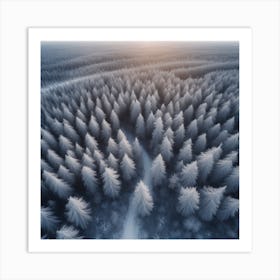 Aerial Photography Of A Winter Forest 2 Art Print