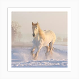 White Horse In The Snow Art Print