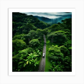 Road Through The Rainforest Art Print