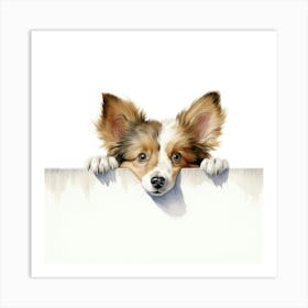 Shetland Sheepdog 3 Art Print