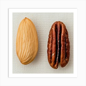 Almonds And Pecans Art Print