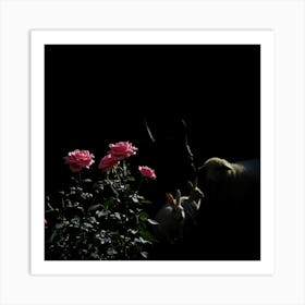 Sheep And Roses Art Print