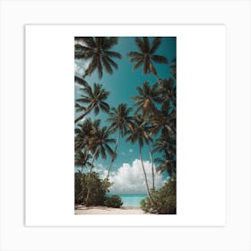 Palm Trees On The Beach Art Print