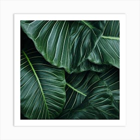 Photography Of The Texture Of A Lush Tropical Leaf Art Print