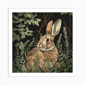 Rabbit In The Woods 1 Art Print