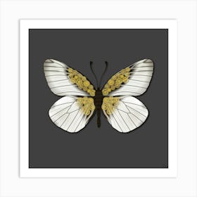Mechanical Butterfly The Aporia Crataegi On A Grey Background Art Print