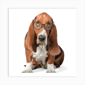 Basset Hound With Glasses Art Print